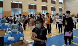 山东煎饼爆料视频最新消息,揭秘传统美食背后的故事与变迁